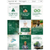 Imagem com visual de feed do Instagram com posts sobre engenharia ambiental, usando templates editáveis no Canva.