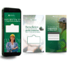 Imagem com três modelos de stories editáveis no Canva sobre engenharia ambiental, exibindo temas como importância da profissão, gestão ambiental e funções do engenheiro ambiental.